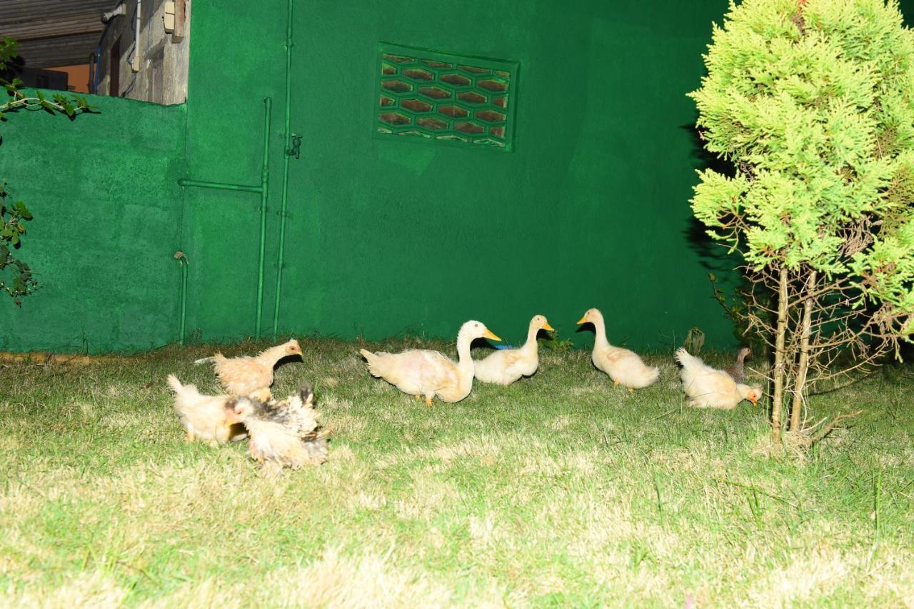 K G N Farmhouse Kundapur Extérieur photo